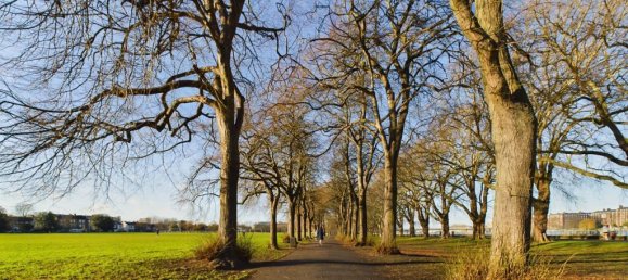 1 bedroom Apartment in London, United Kingdom No. 9926 24