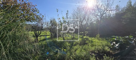 3 bedrooms House in Matosinhos, Portugal No. 169639 36