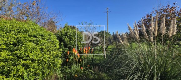 3 bedrooms House in Matosinhos, Portugal No. 169639 37