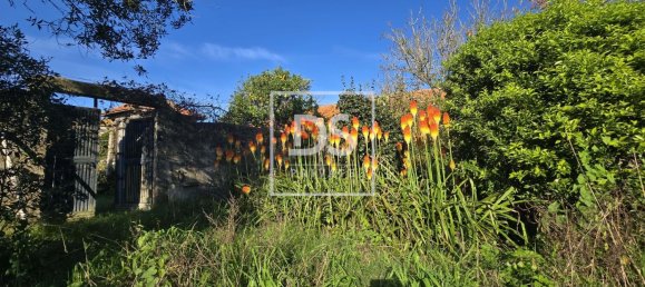 3 bedrooms House in Matosinhos, Portugal No. 169639 35