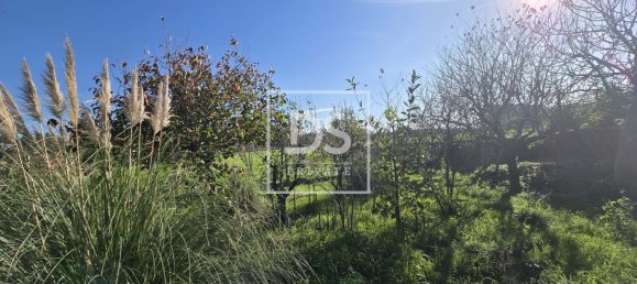 3 bedrooms House in Matosinhos, Portugal No. 169639 34