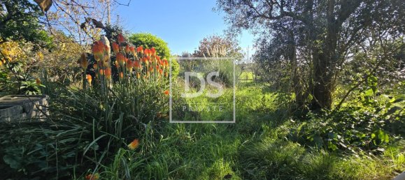 3 bedrooms House in Matosinhos, Portugal No. 169639 30