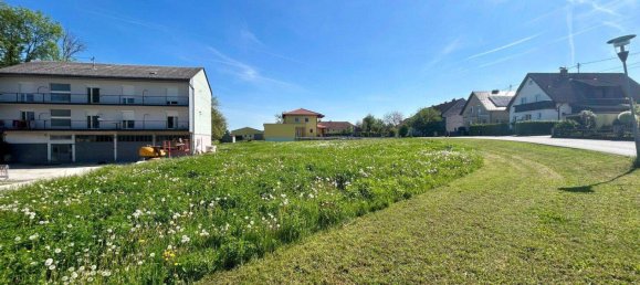  Land in Ansfelden, Austria No. 141781 2