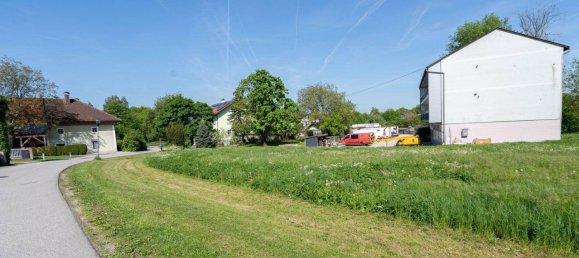  Land in Ansfelden, Austria No. 141781 3