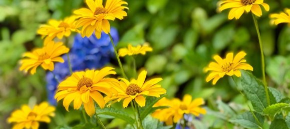 3 chambres Maison de ville à Nordfriesland, Germany No. 246336 6