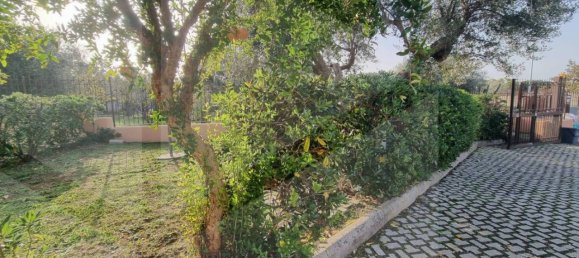 4-salle Maison à Albano Laziale, Italy No. 21358 12