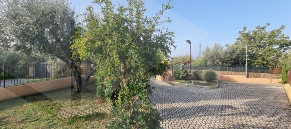 4-salle Maison à Albano Laziale, Italy No. 21358 7