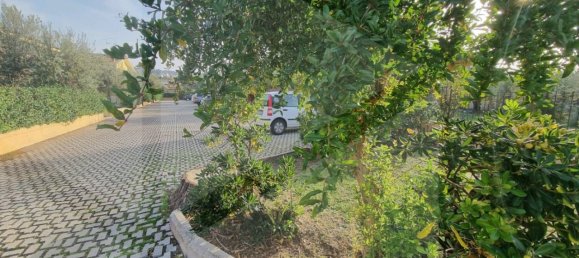 4-salle Maison à Albano Laziale, Italy No. 21358 6