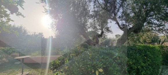 4-salle Maison à Albano Laziale, Italy No. 21358 10