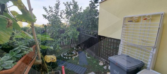 4-salle Maison à Albano Laziale, Italy No. 21358 20