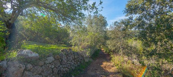 2 غرف نوم منزل في Loule, Portugal رقم 17610 6