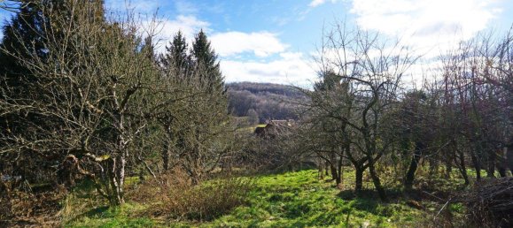Grundstück in Mauerbach, Austria, Nr. 66022 6