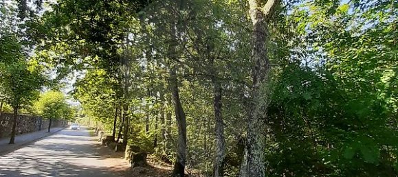 Grundstück in Sabariz, Portugal 8994m², Nr. 34143 8