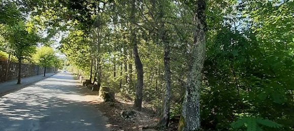 Grundstück in Sabariz, Portugal 8994m², Nr. 34143 9