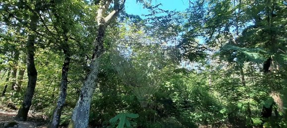 Grundstück in Sabariz, Portugal 8994m², Nr. 34143 7