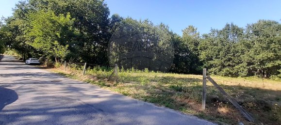 Grundstück in Sabariz, Portugal 8994m², Nr. 34143 10