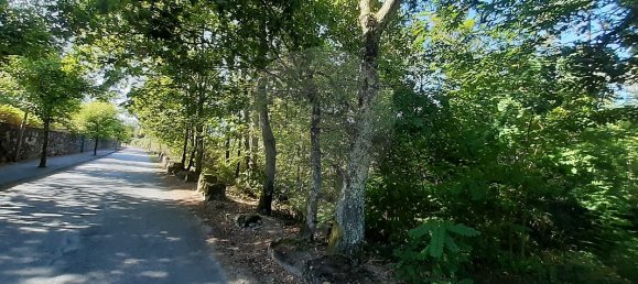 Grundstück in Sabariz, Portugal 8994m², Nr. 34143 6