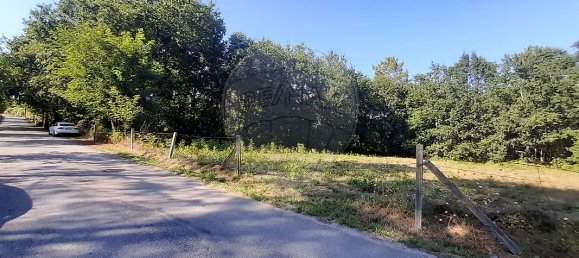 Grundstück in Sabariz, Portugal 8994m², Nr. 34143 5