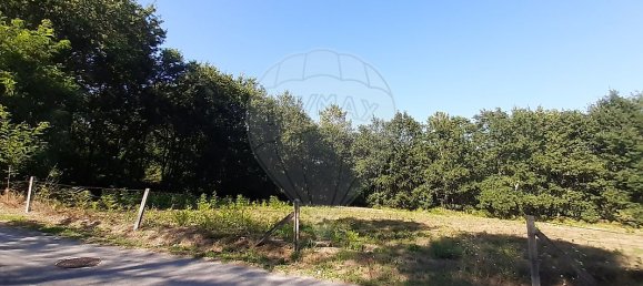 Grundstück in Sabariz, Portugal 8994m², Nr. 34143 2