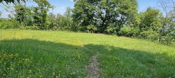 Terrain à Padenghe sul Garda, Italy 19000m² No. 164359 7