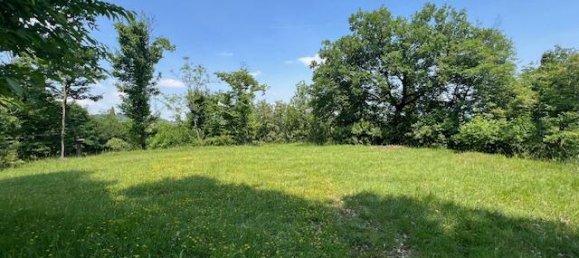 Terrain à Padenghe sul Garda, Italy 19000m² No. 164359 8