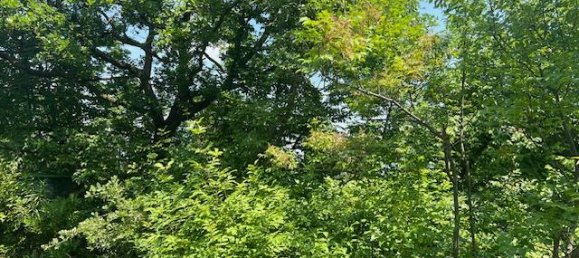 Terrain à Padenghe sul Garda, Italy 19000m² No. 164359 4