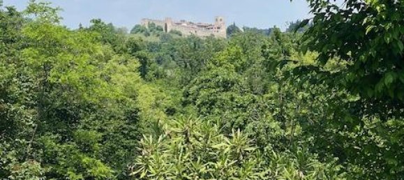 Terrain à Padenghe sul Garda, Italy 19000m² No. 164359 12