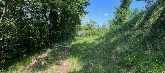 Terrain à Padenghe sul Garda, Italy 19000m² No. 164359 9