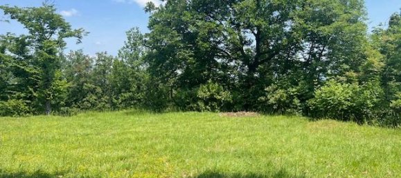 Terrain à Padenghe sul Garda, Italy 19000m² No. 164359 11