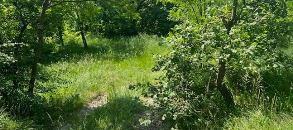 Terrain à Padenghe sul Garda, Italy 19000m² No. 164359 6