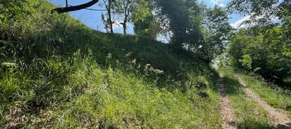 Terrain à Padenghe sul Garda, Italy 19000m² No. 164359 16