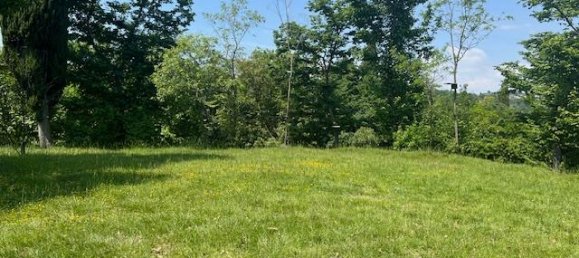 Terrain à Padenghe sul Garda, Italy 19000m² No. 164359 5