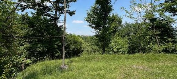 Terrain à Padenghe sul Garda, Italy 19000m² No. 164359 13