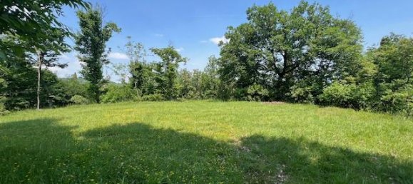 Terrain à Padenghe sul Garda, Italy 19000m² No. 164359 10