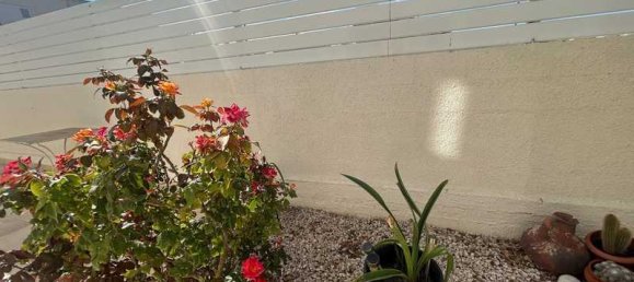 5 Schlafzimmer Villa in Larnaca, Cyprus, Nr. 20121 6