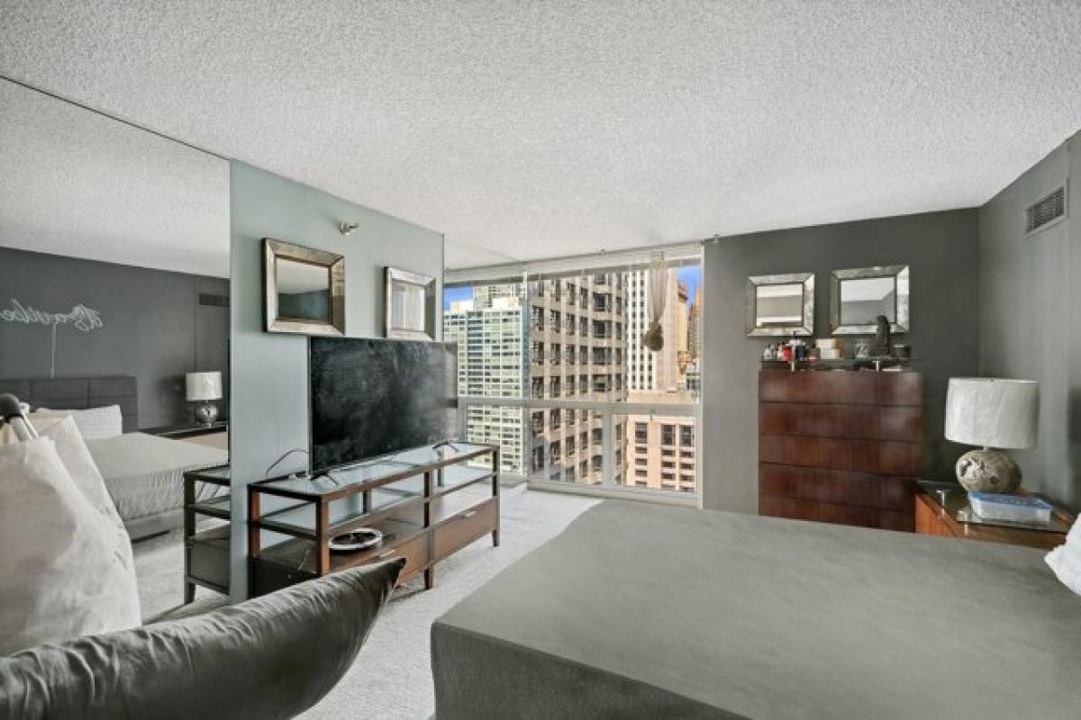 Studio in Chicago, USA No. 380877