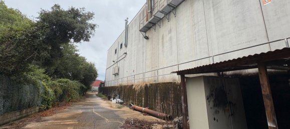 Armazém em Cervello, Spain 1126 m² N.º 134318 14