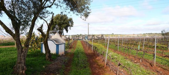 Замки и поместья с 4 спальнями в Эштремош, Португалия № 154202 45