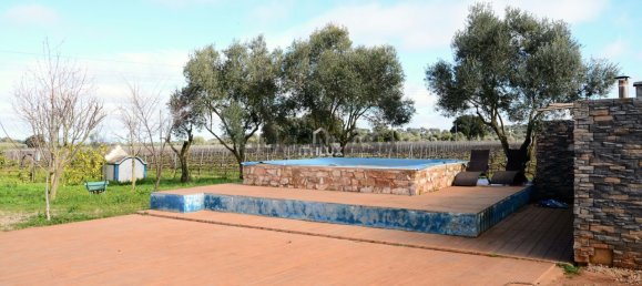 Замки и поместья с 4 спальнями в Эштремош, Португалия № 154202 46