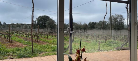 Замки и поместья с 4 спальнями в Эштремош, Португалия № 154202 14