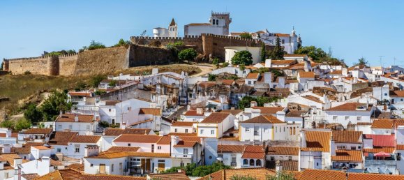 Замки и поместья с 4 спальнями в Эштремош, Португалия № 154202 50