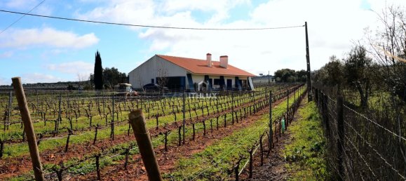 Замки и поместья с 4 спальнями в Эштремош, Португалия № 154202 8