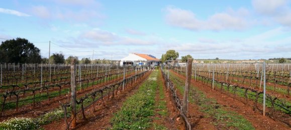 Замки и поместья с 4 спальнями в Эштремош, Португалия № 154202 9