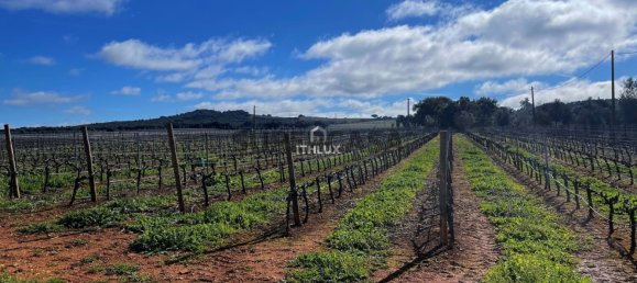 Замки и поместья с 4 спальнями в Эштремош, Португалия № 154202 4