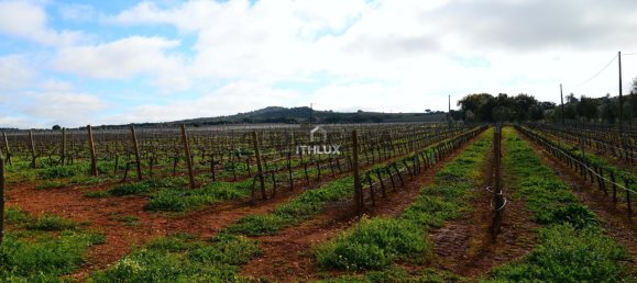 Замки и поместья с 4 спальнями в Эштремош, Португалия № 154202 48