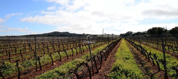 Замки и поместья с 4 спальнями в Эштремош, Португалия № 154202 47