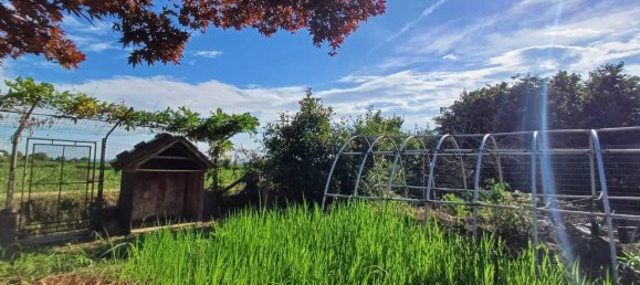 4-Zimmer Haus in Asigliano Vercellese, Italy, Nr. 87876 39