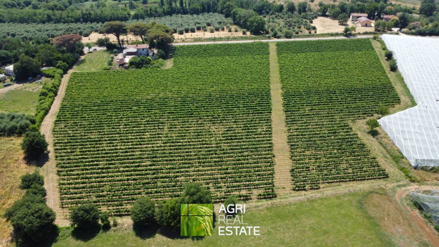 34910m² Land in Cisterna di Latina, Italy No. 272885