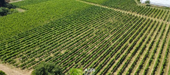 34910m² Land in Cisterna di Latina, Italy No. 272885 7