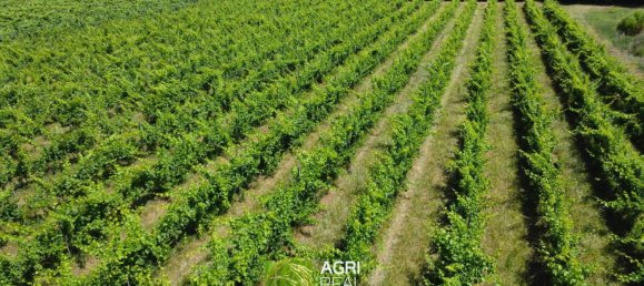 34910m² Land in Cisterna di Latina, Italy No. 272885 6